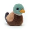 Peluche Canard Colvert – Jellycat – Photo 1