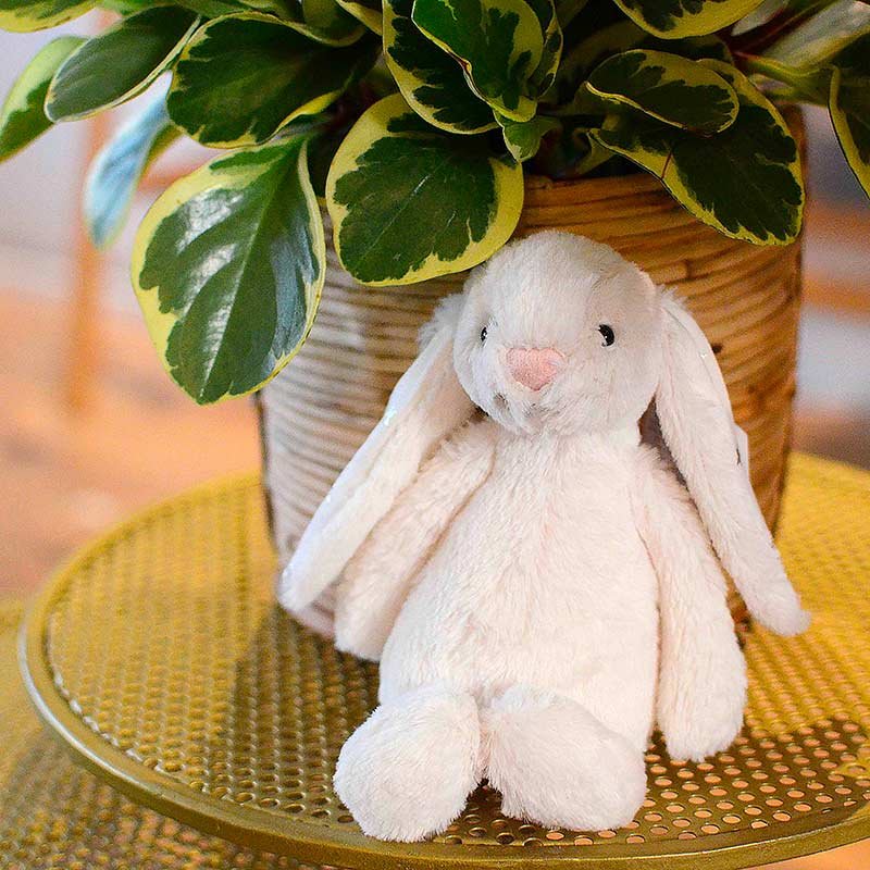 Peluche bashful – Lapin blanc étoiles small – Jellycat – Photo 3